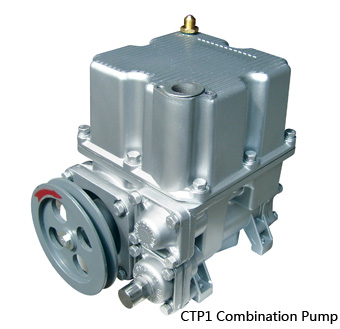 CTP1 Fuel Combination Gear Pump