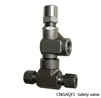 CNGAQF1 Safety valve