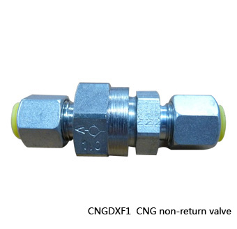 CNGDXF1 CNG non-return valve